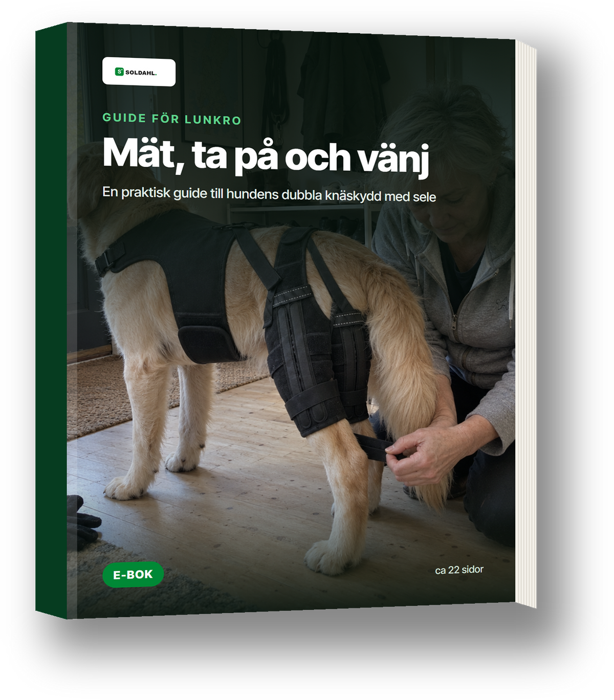 E-bok Mät, ta på och vänj, Lunkro