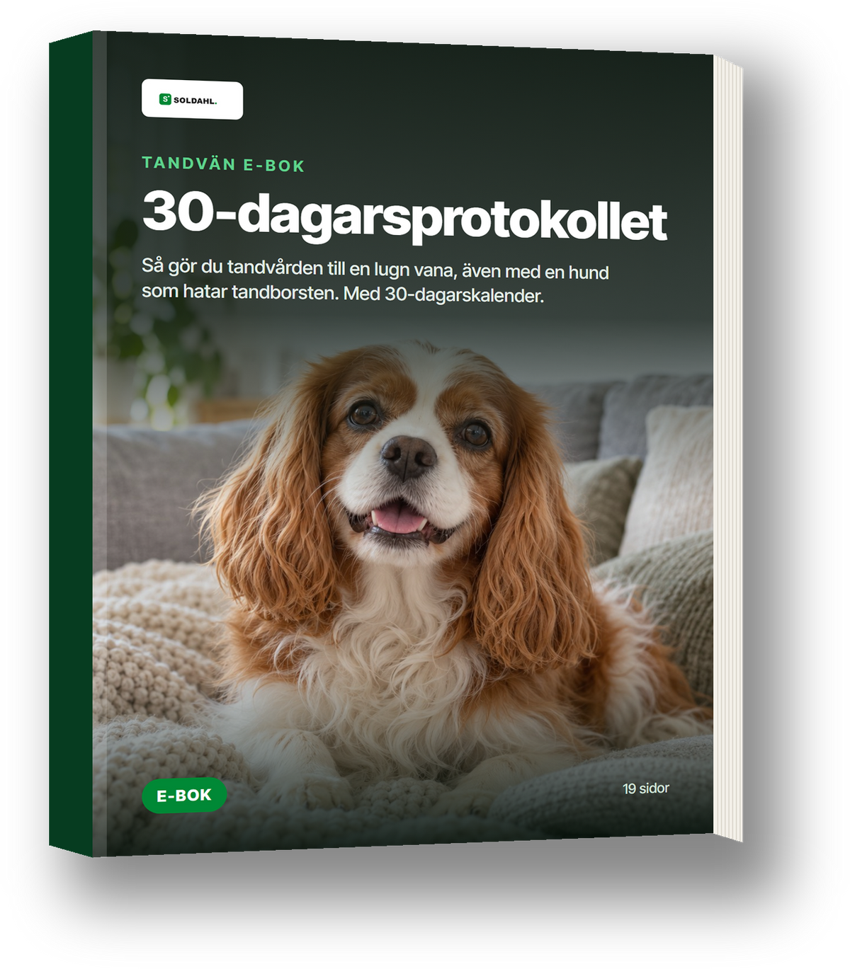 E-bok 30-dagarsprotokollet