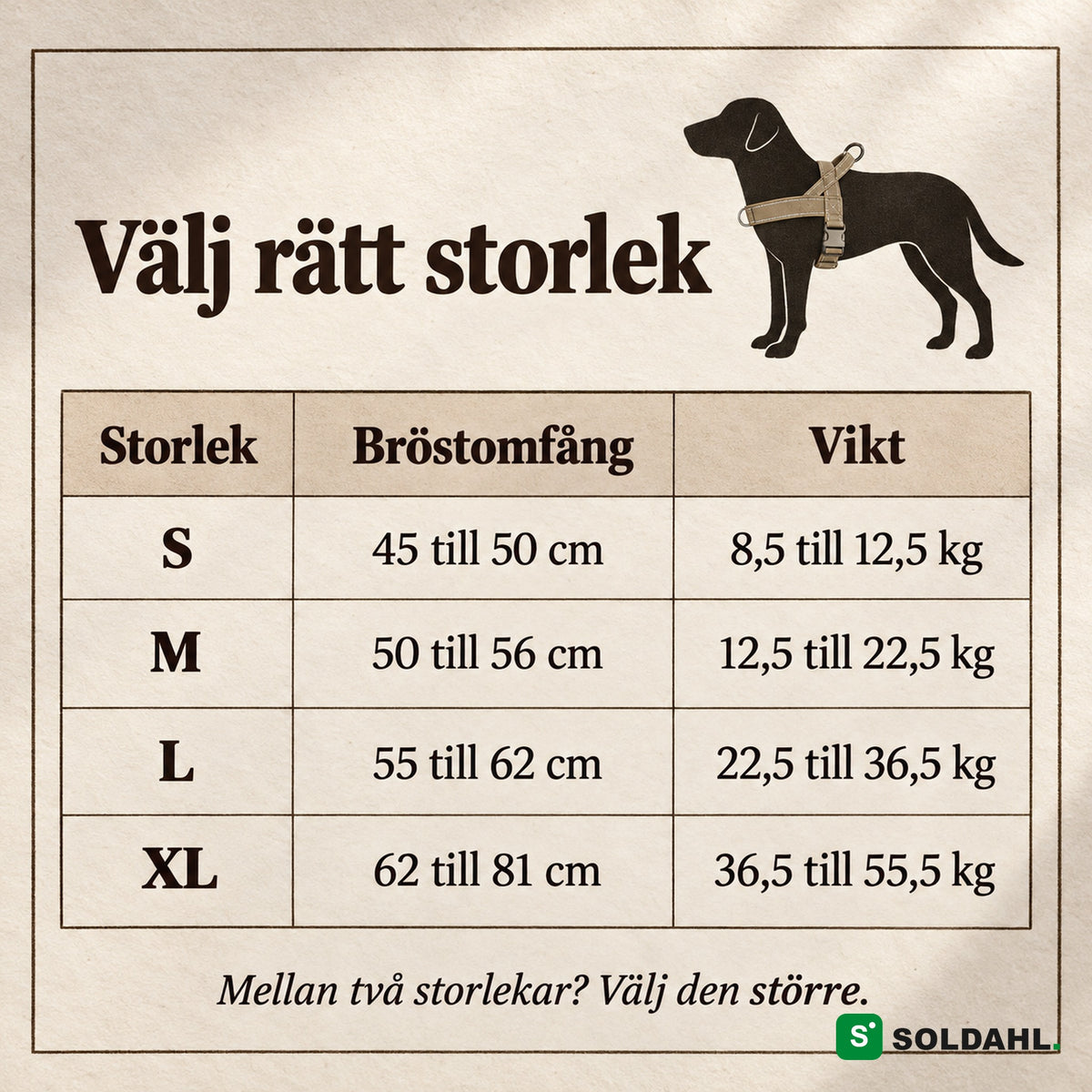 Storleksguide för antidragsele: S, M, L och XL med bröstomfång och vikt