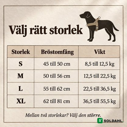 Storleksguide för antidragsele: S, M, L och XL med bröstomfång och vikt