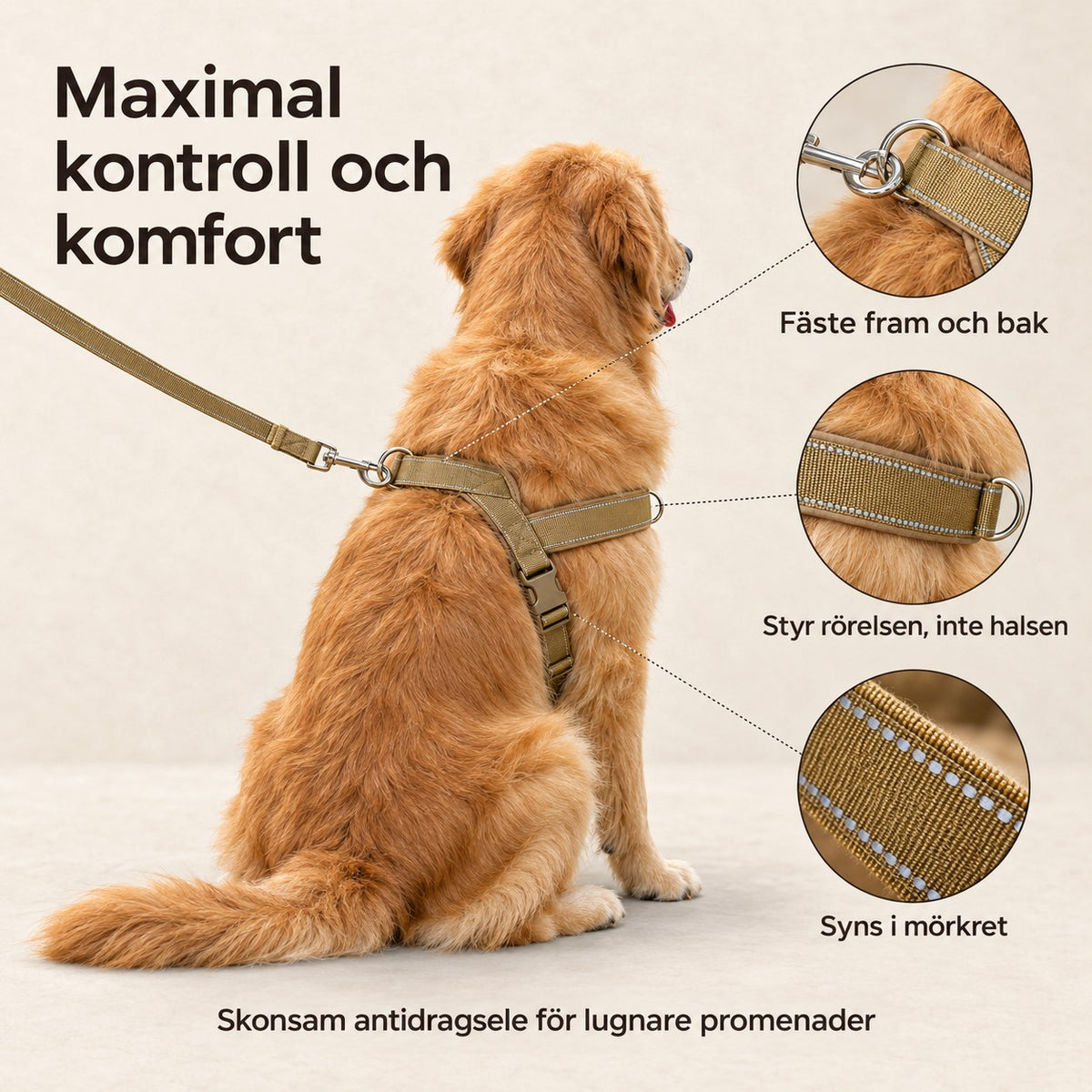 Maximal kontroll och komfort: fäste fram och bak, styr rörelsen inte halsen, syns i mörkret