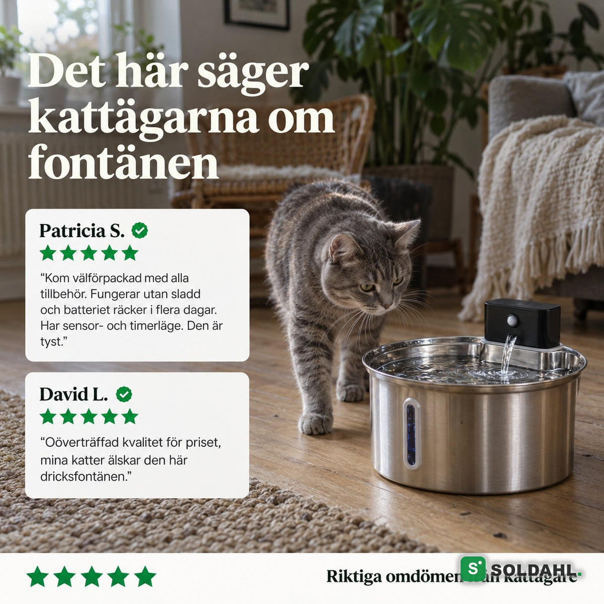 Fontan i vardagsrum med katt