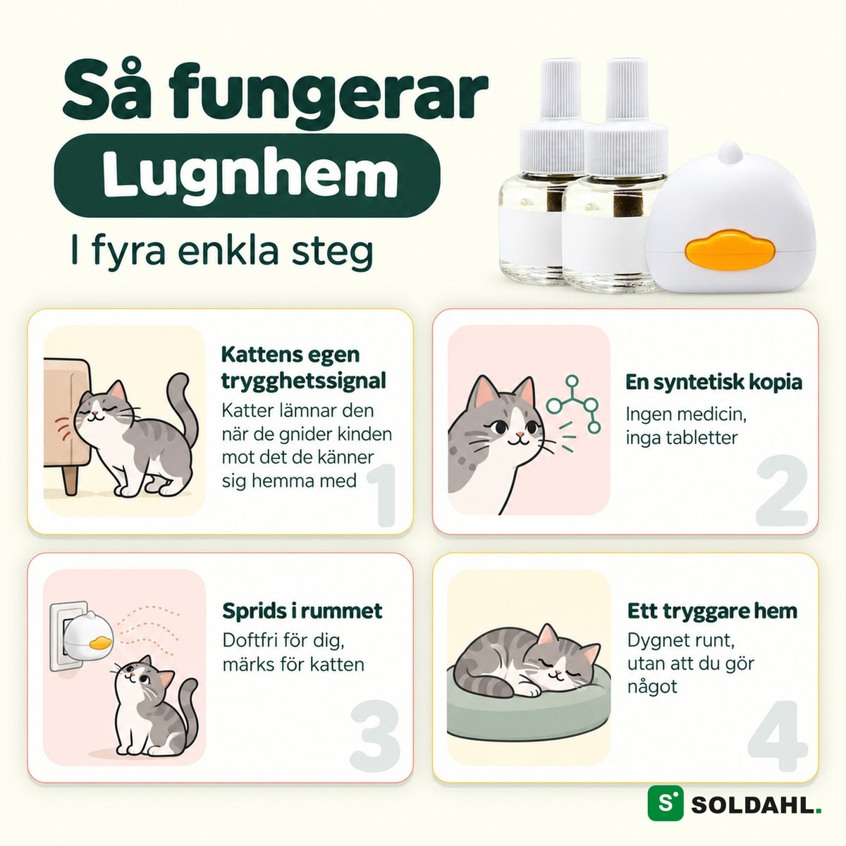 Så fungerar Lugnhem i fyra steg, från kattens egen trygghetssignal till ett tryggare hem
