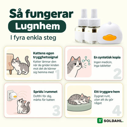 Så fungerar Lugnhem i fyra steg, från kattens egen trygghetssignal till ett tryggare hem