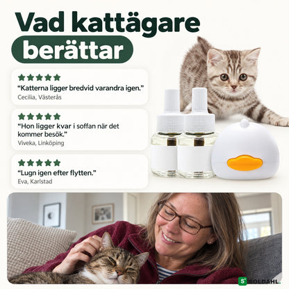 Kattägare berättar om en lugnare vardag med Lugnhem