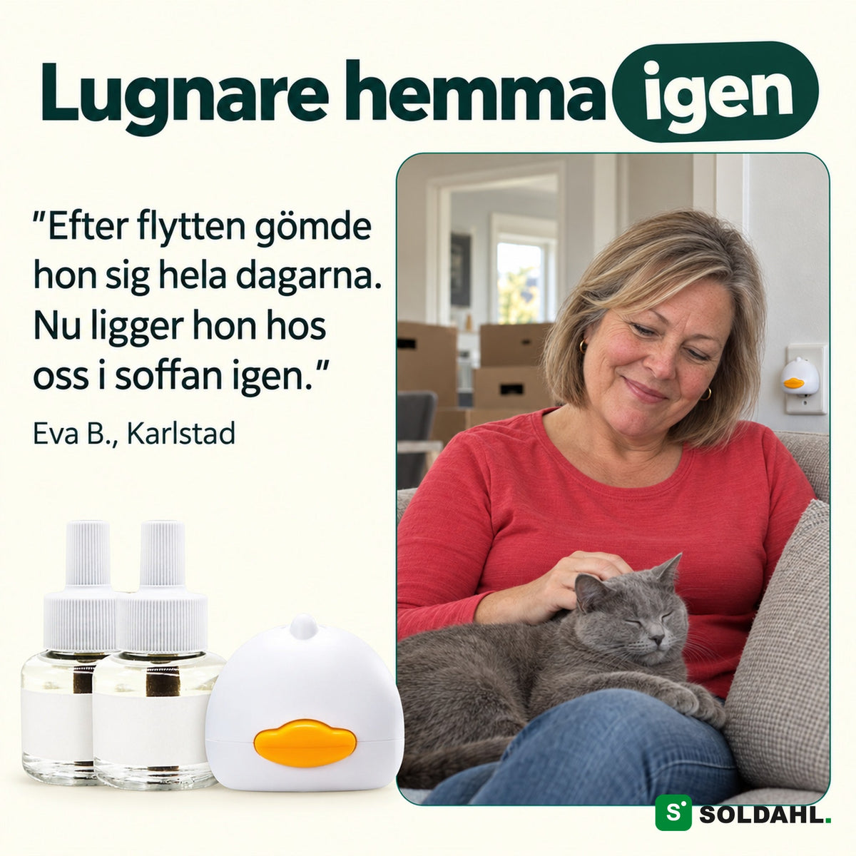 Kvinna i soffan med en lugn grå katt efter flytten, Lugnhem i uttaget bredvid