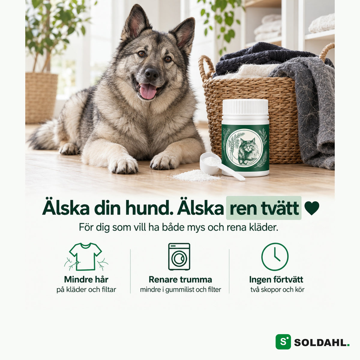 Hund bredvid tvättkorg och Pälsfri, älska din hund och ren tvätt