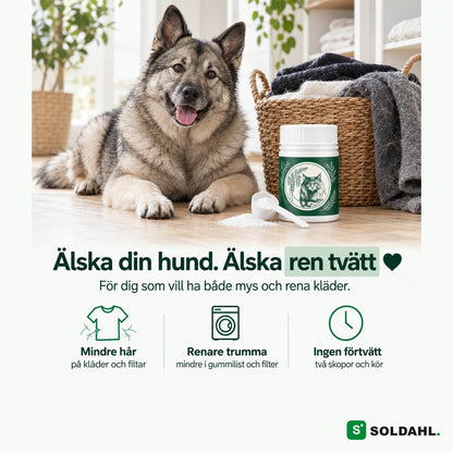Hund bredvid tvättkorg och Pälsfri, älska din hund och ren tvätt
