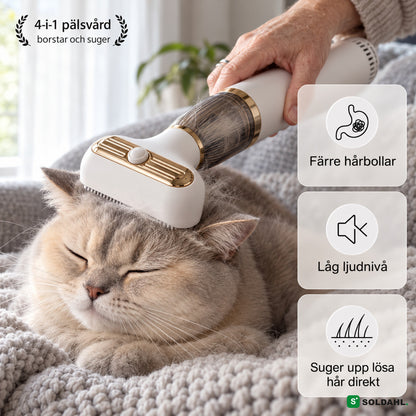 GroomPro borstar och suger upp lösa hår från kattens huvud