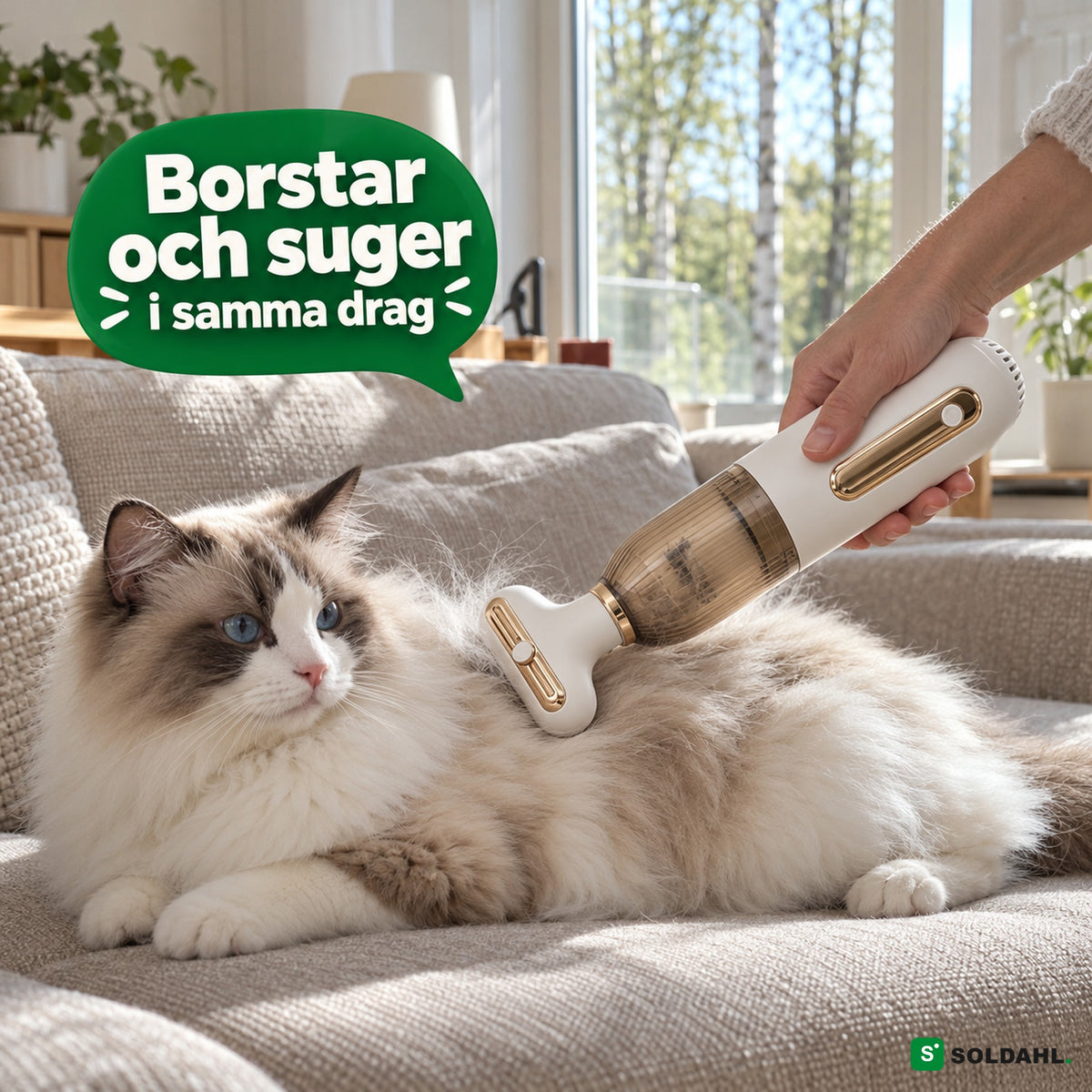 GroomPro borstar ragdollkatt och suger upp håret i samma drag