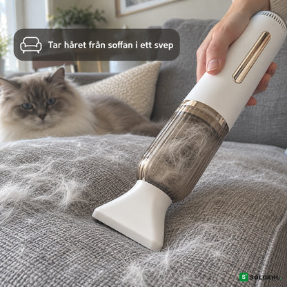 GroomPro med möbelmunstycke tar katthår från soffan