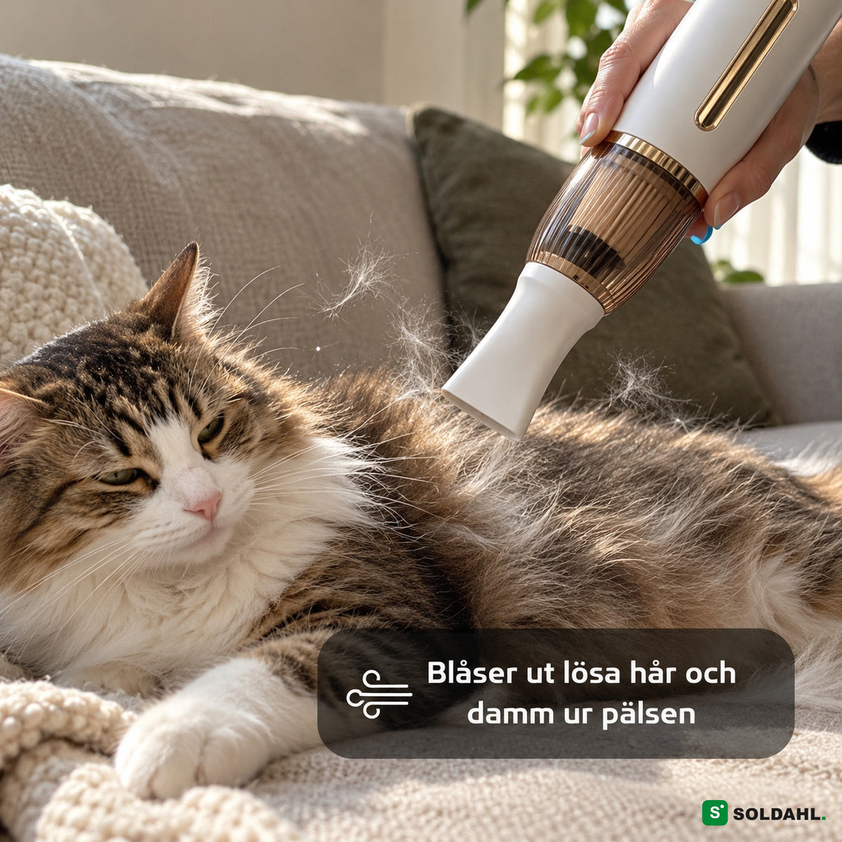 GroomPro med blåsmunstycke blåser ut lösa hår ur pälsen
