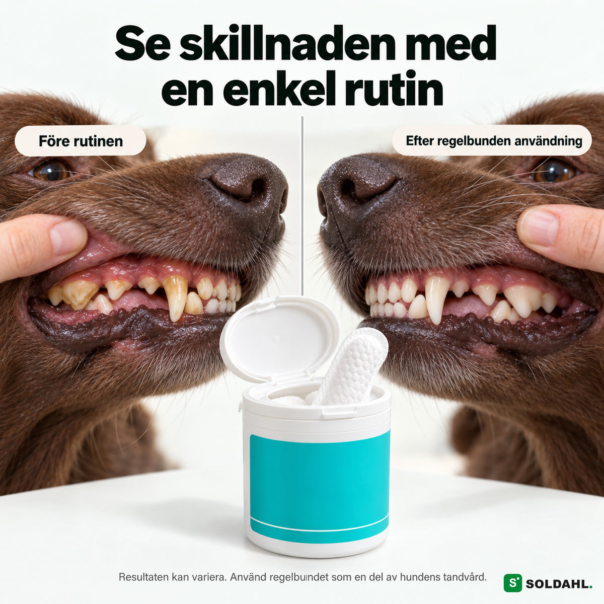 Före och efter: hundtänder med plack och renare tänder efter rutin