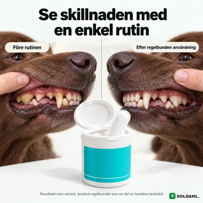 Före och efter: hundtänder med plack och renare tänder efter rutin