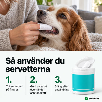 Så använder du tandservetterna i tre steg