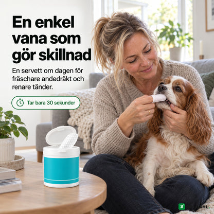 Hundägare rengör sin cavaliers tänder med fingerservett