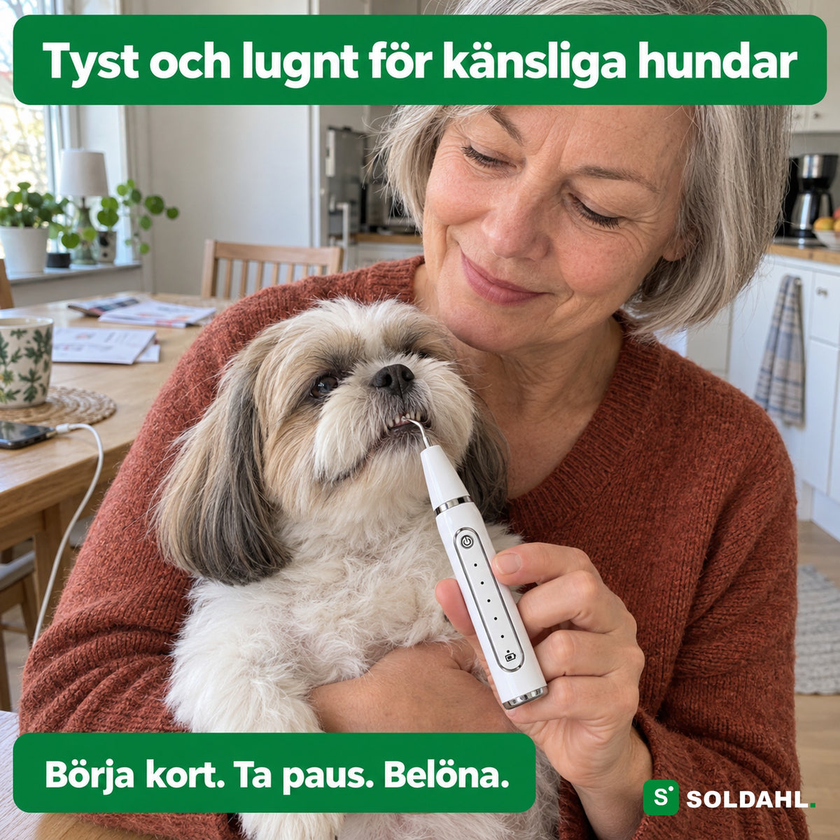 Kvinna håller en liten hund i famnen och använder Tandro mot en tand