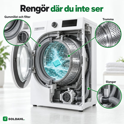 Rengör där du inte ser: gummilist, filter, trumma och slangar