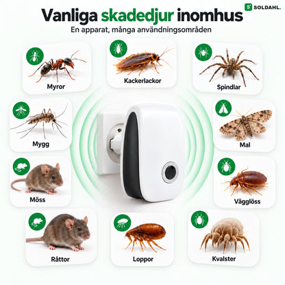 Vanliga skadedjur inomhus: myror, möss, vägglöss, spindlar och fler